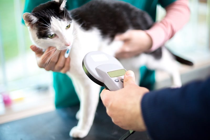 Microchipping Wauwatosa, WI