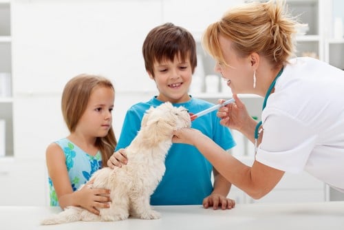 Vaccinations Wauwatosa, WI